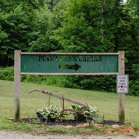 Pine Creek Cabins & Camping Resort South Bloomingville Esterno foto